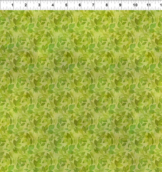 BLOOMING DAY AND NIGHT 11BDN-1