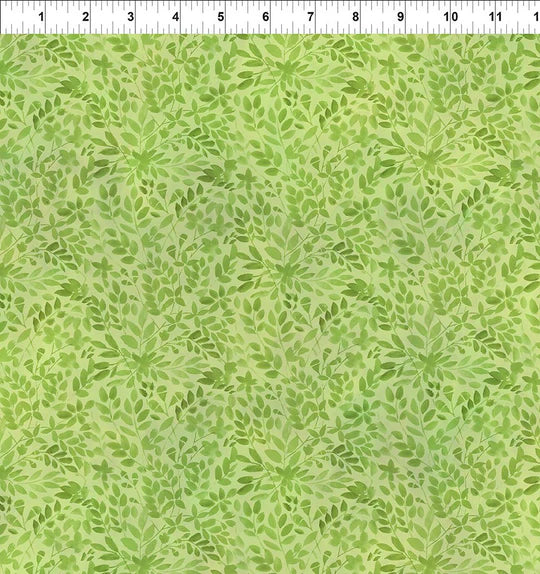 BLOOMING DAY AND NIGHT 12BDN-1