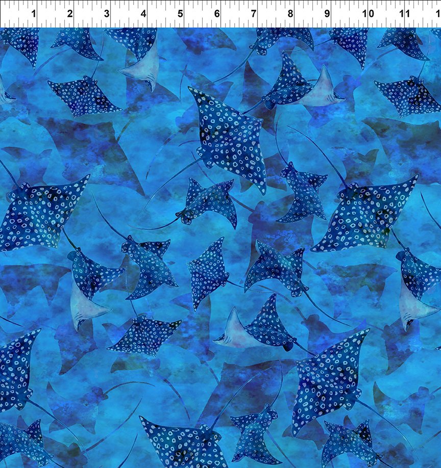 CALYPSO III BY JASON YENTER BLUE STINGRAYS