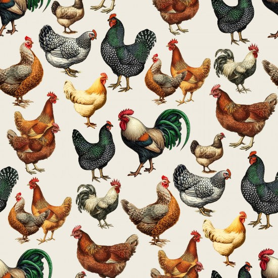 FARMYARD CHICKENS