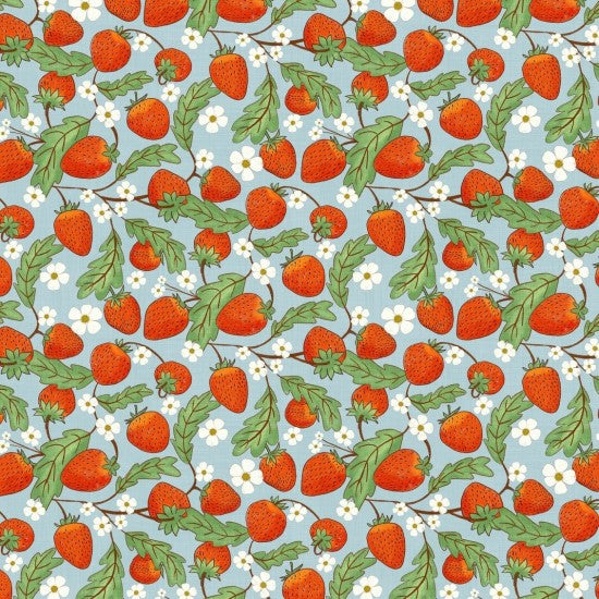 WHIMSICAL FIELDS STRAWBERRY 106