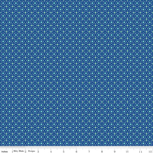 VIBRANCE BY RILEY BLAKE STAR JUNCTIONS DENIM