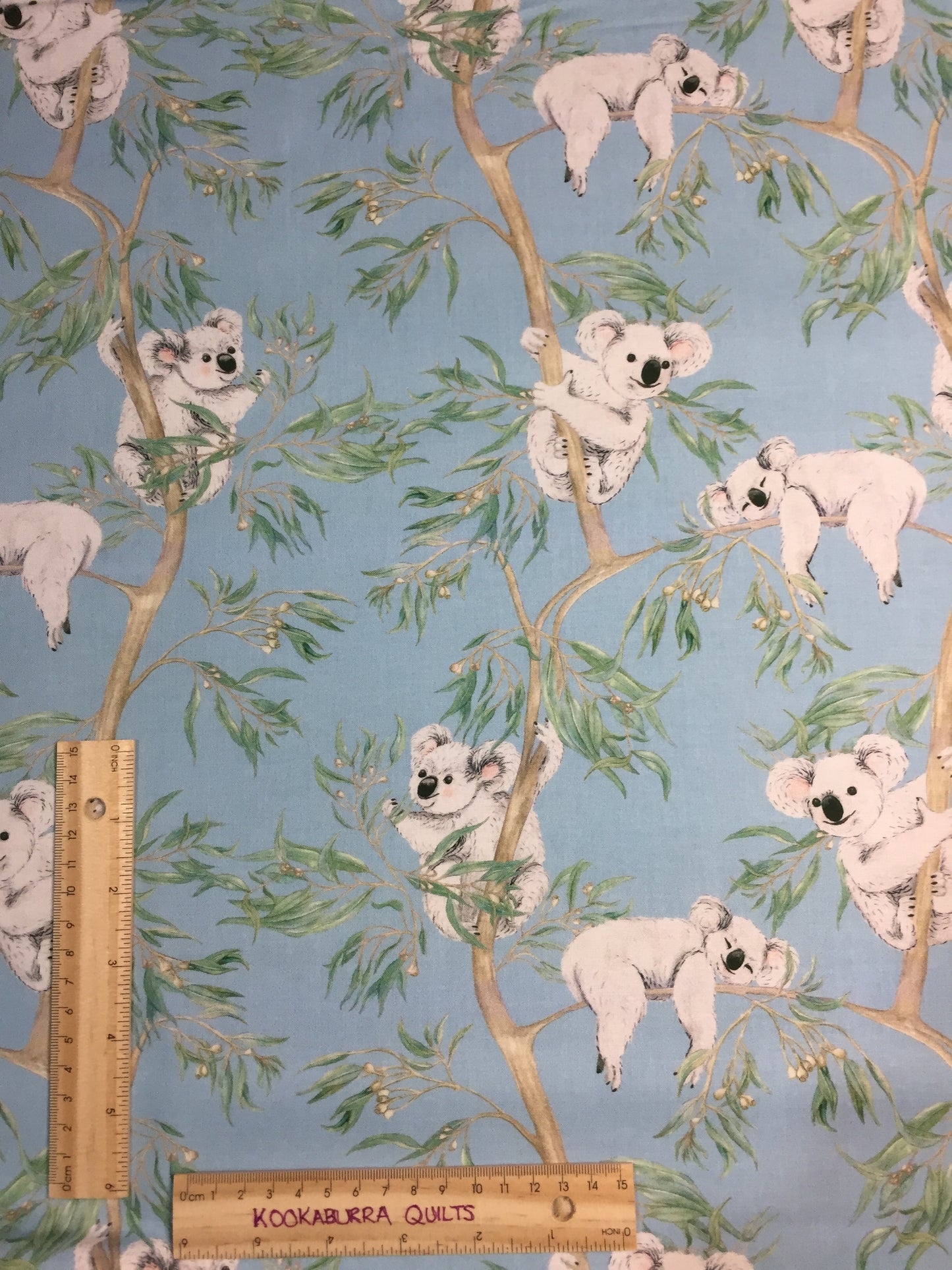 Gumtree Friends Koala on Blue