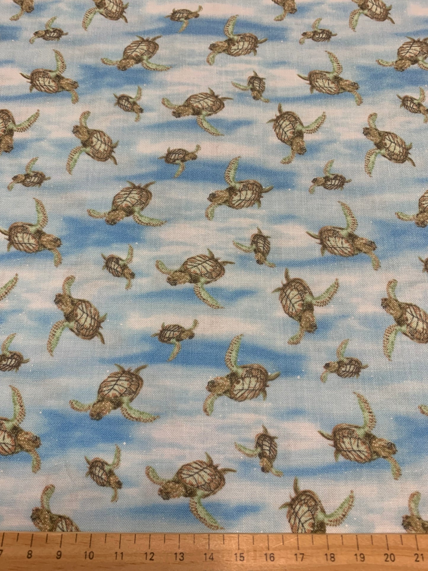 TURTLE MARCH SMALL TURTLES