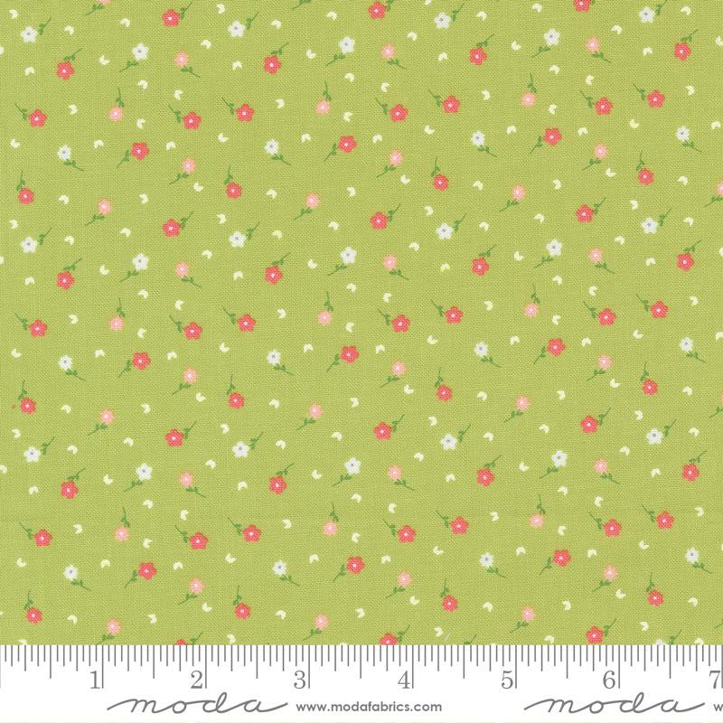 STRAWBERRY LEMONADE REMNANT