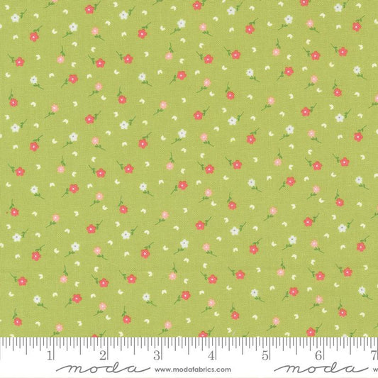 STRAWBERRY LEMONADE REMNANT