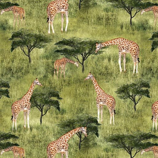 African Safari Giraffe Savannah
