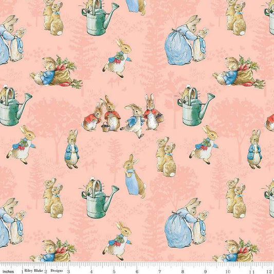 THE TALE OF PETER RABBIT - MAIN CORAL REMNANT