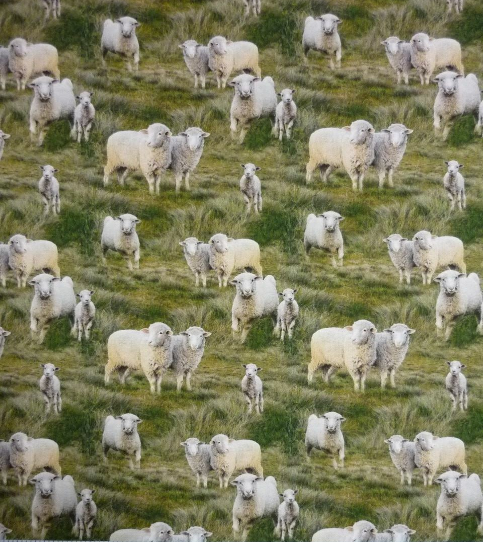 Sheep Allover Merino Muster