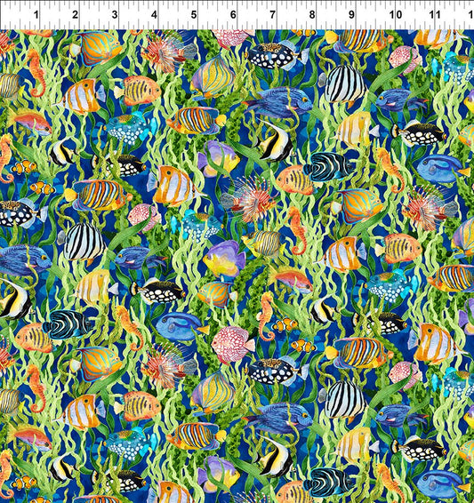 CALYPSO III BY JASON YENTER BLUE FISH