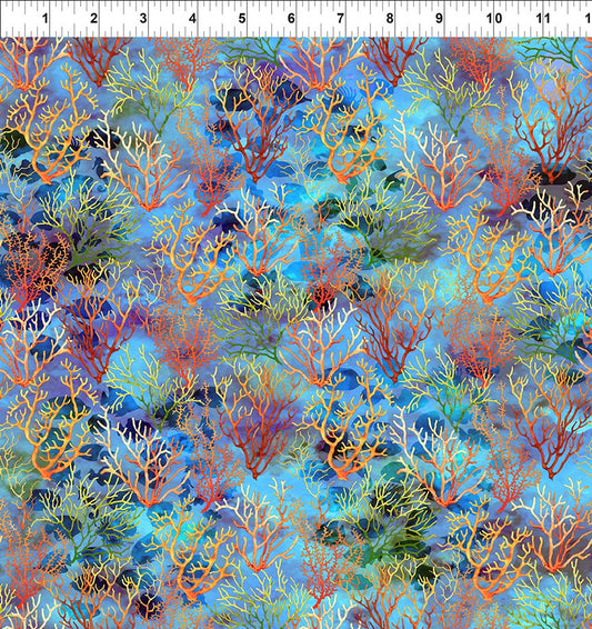CALYPSO III BY JASON YENTER BLUE CORAL
