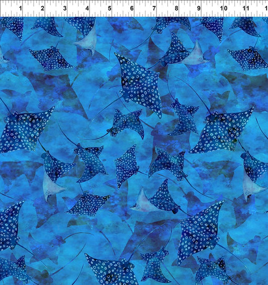 CALYPSO III BY JASON YENTER BLUE STINGRAYS
