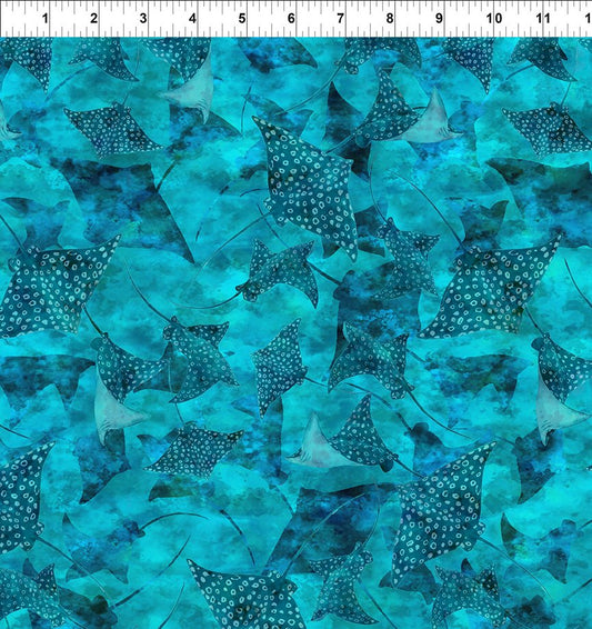 CALYPSO III BY JASON YENTER TEAL STRINGRAYS