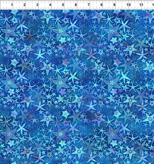 CALYPSO III BY JASON YENTER BLUE STARFISH