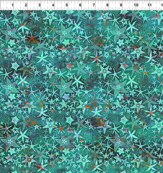 CALYPSO III BY JASON YENTER TEAL STARFISH