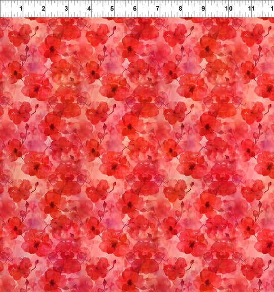 BLOOMING DAY AND NIGHT 6BDN-1