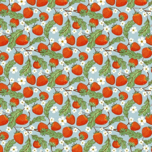 WHIMSICAL FIELDS STRAWBERRY 106