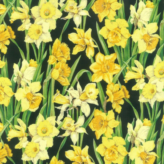 Daffodils Blossum by  Nutex