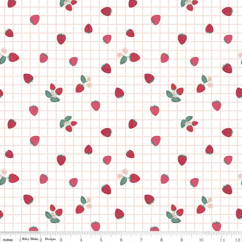 BERRY MARKET  - WHITE