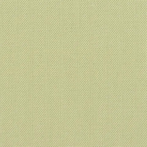 DEVONSTONE SOLID 041 PISTACHIO