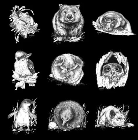 Black and White Australian Animals