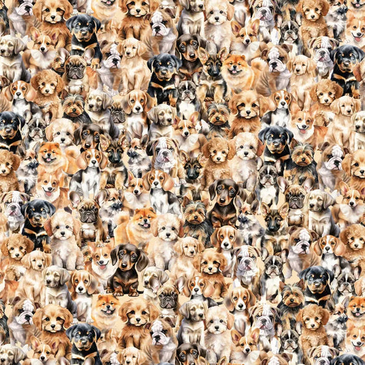 COOPS FARM PUPPIES DV6787