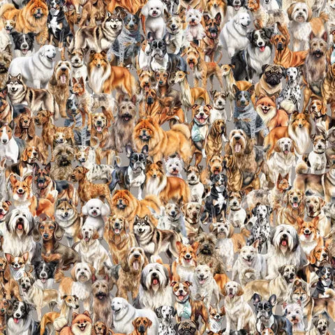 COOPS FARM DOGS DV6789