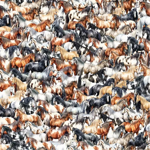 COOPS FARM HORSES DV6791